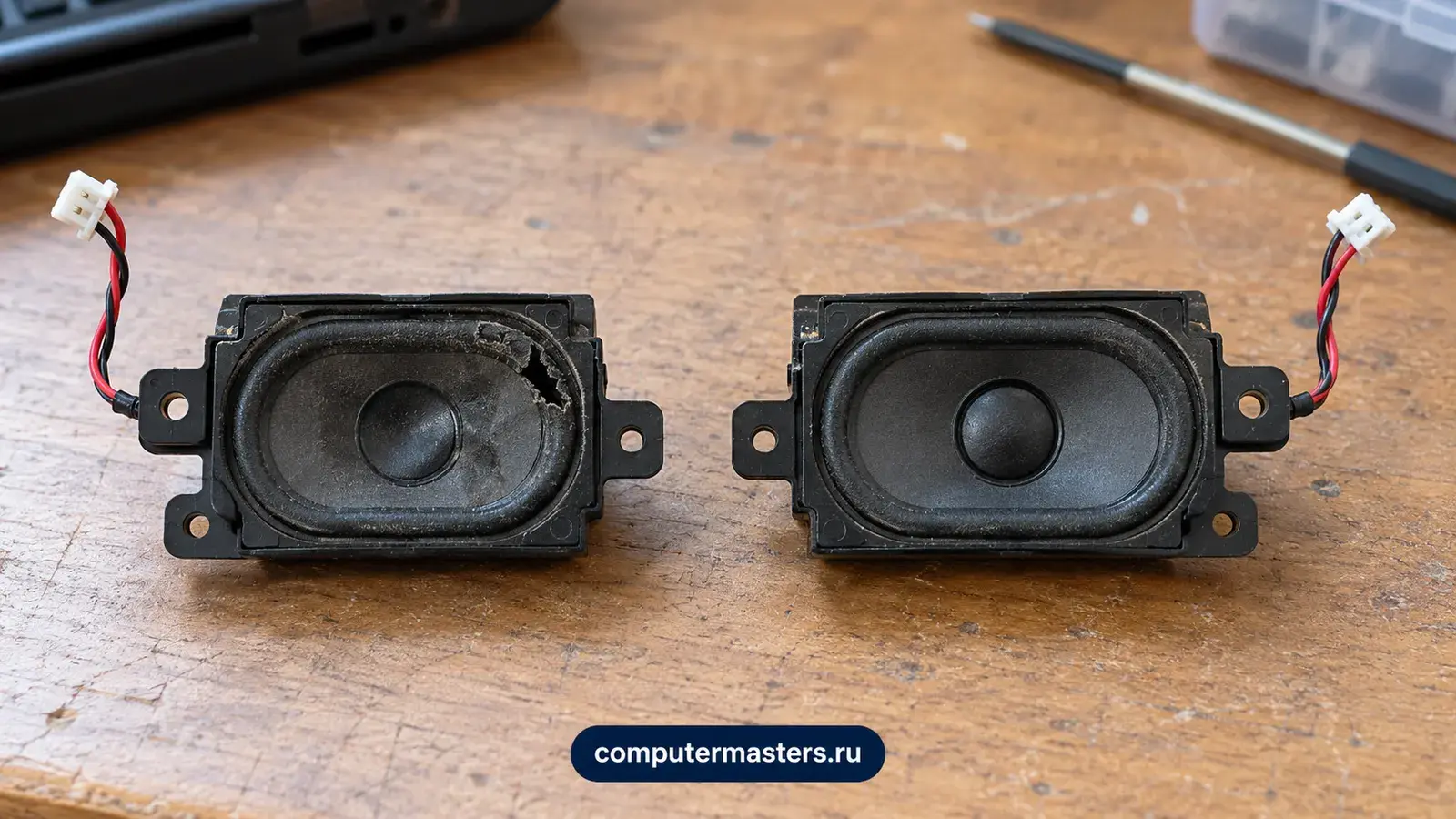Пара прямоугольных динамиков ноутбука на деревянном столе: у одного надорван край мембраны, второй целый, у обоих короткие провода с белыми разъёмами