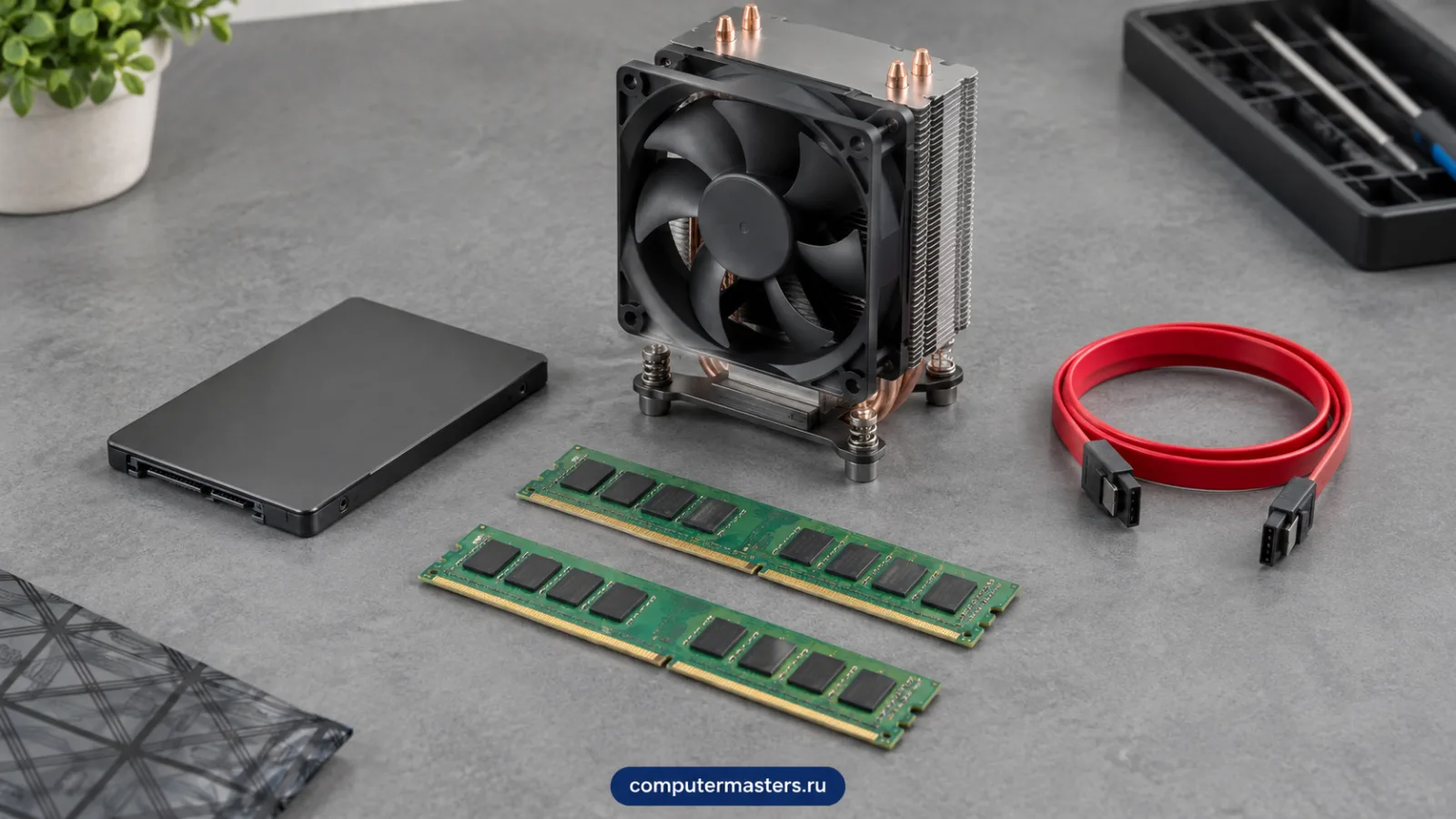 На серой поверхности лежат накопитель SSD, два модуля оперативной памяти, кулер процессора и красный кабель SATA
